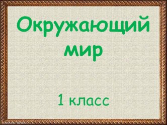 Урок по окружающему миру 1 класс на тему Когда наступит лето?