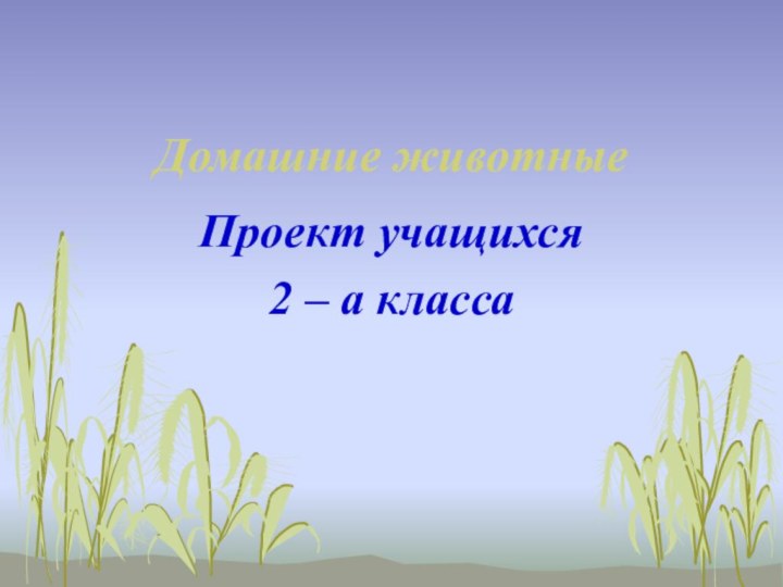 Домашние животныеПроект учащихся 2 – а класса