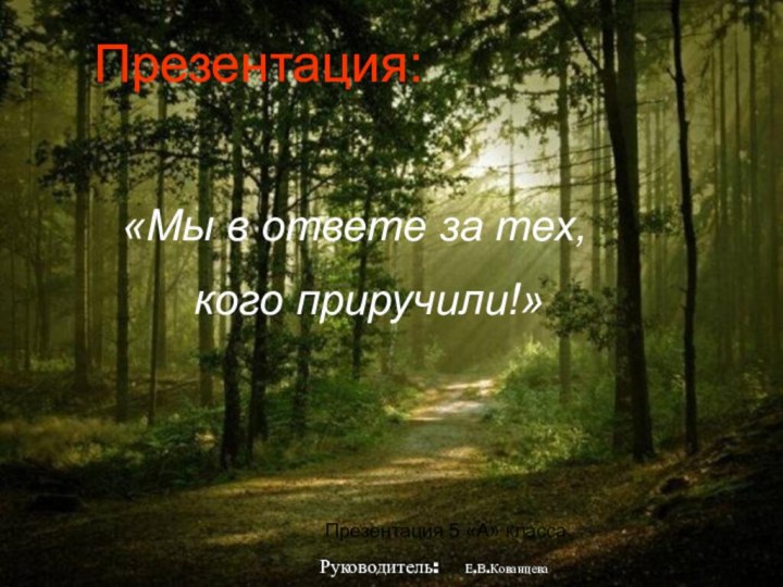 «Мы в ответе за тех,   кого приручили!»Презентация:Презентация 5 «А» класса. Руководитель:  Е.В.Кованцева