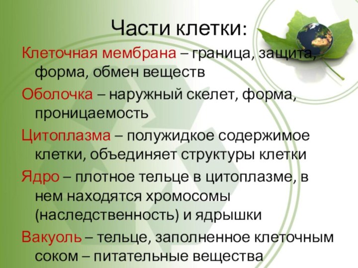 Дайте определение биологии. Определения по биологии. Термины по биологии. Термины по биологии 6 класс. Что такое термины в биологии 5.