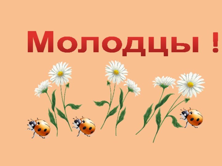 Молодцы !