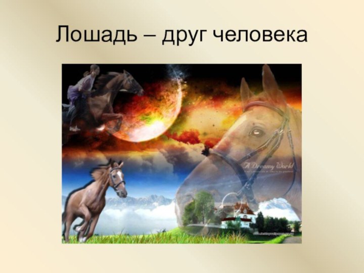 Лошадь – друг человека