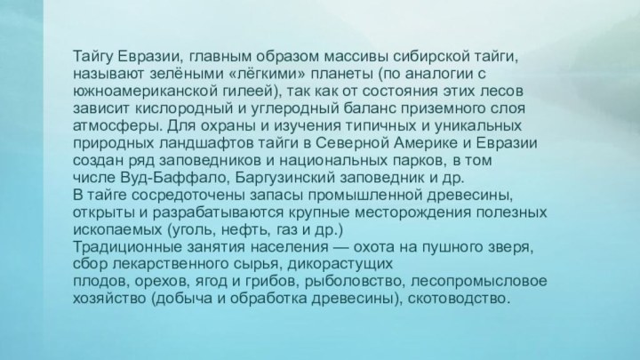 Тайгу Евразии, главным образом массивы сибирской тайги, называют зелёными «лёгкими» планеты (по