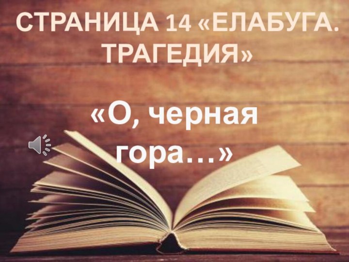 Страница 14 «елабуга. Трагедия»«О, черная гора…»