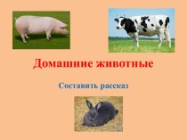 Презентация по окружающему миру на тему Домашние животные (3 кл.)