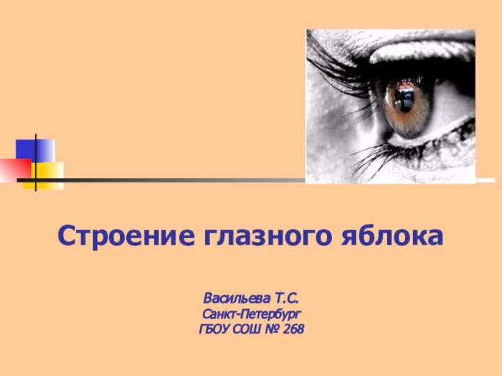 Строение глазного яблока   Васильева Т.С. Санкт-Петербург ГБОУ СОШ № 268