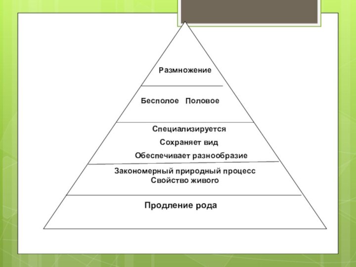 Размножение   Специализируется   Сохраняет вид