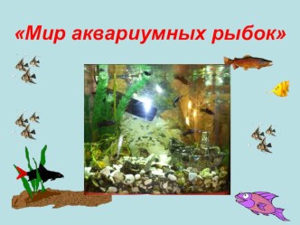 Мир аквариумных рыбок