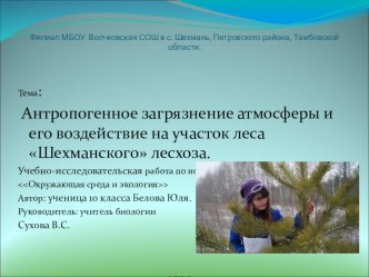 Антропогенное загрязнение атмосферы и его воздействие на участок леса Шехманского лесхоза.