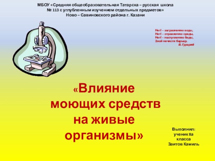 МБОУ «Средняя общеобразовательная Татарска – русская школа№ 113 с углубленным изучением отдельных