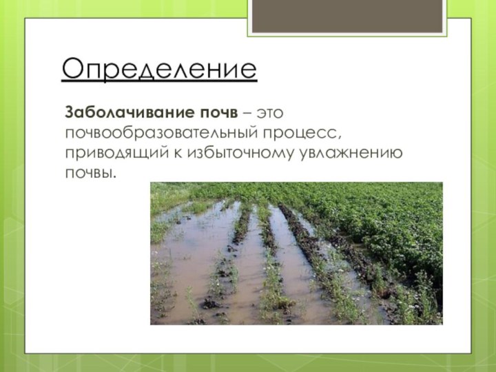 В какой зоне почвы сильно заболочены. Заболачивание почв процесс. Избыточное увлажнение почвы. Причины заболачивания почв. Заболачивание почв почвы.