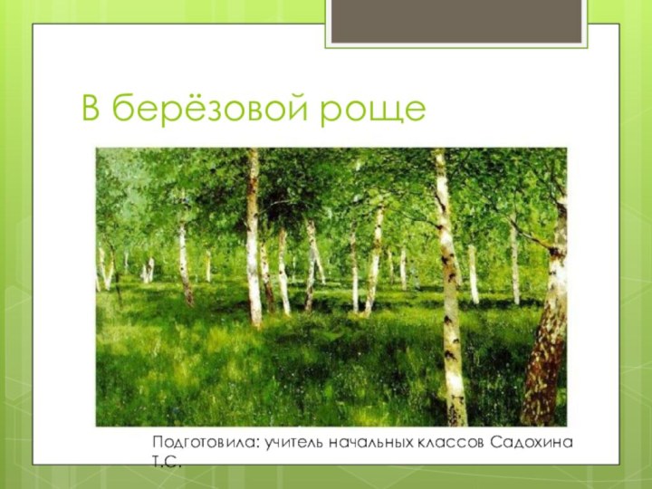 В берёзовой рощеПодготовила: учитель начальных классов Садохина Т.С.