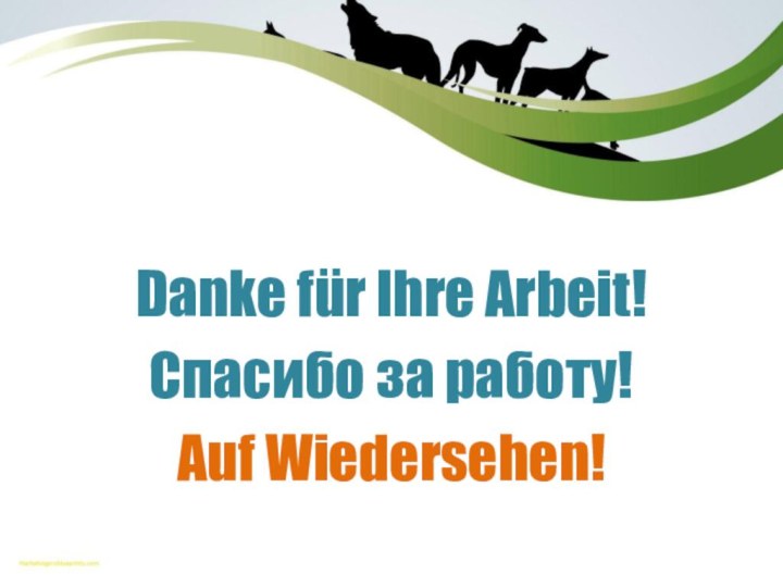 Danke für Ihre Arbeit!Спасибо за работу!Auf Wiedersehen!