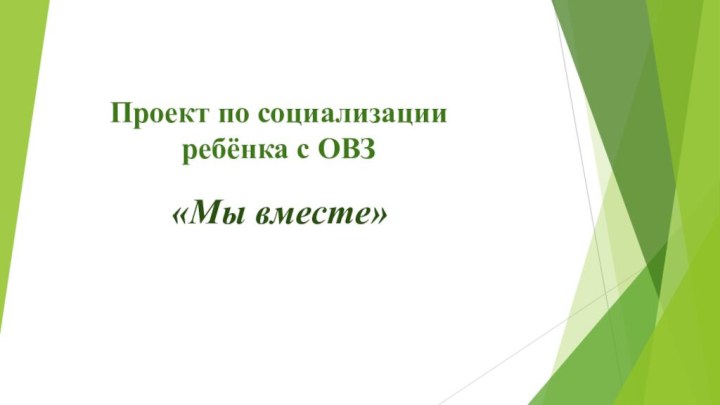 Проект по социализации ребёнка с ОВЗ  «Мы вместе»