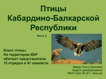 Презентация по доп. образованию Птицы КБР часть 2