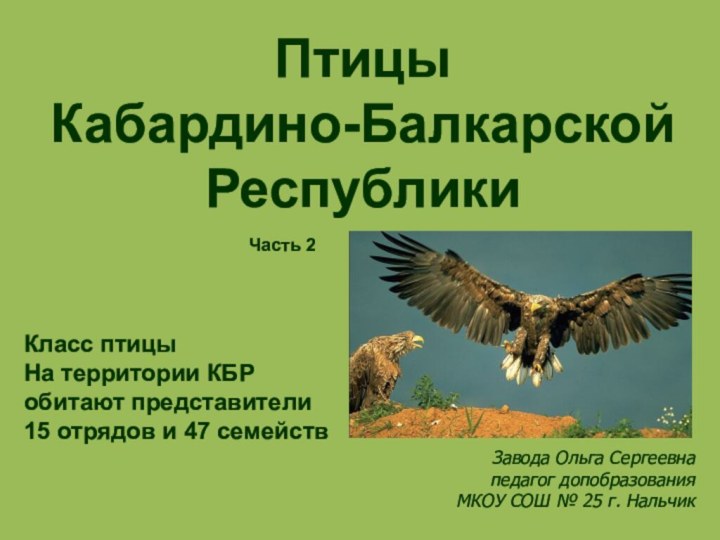 Птицы  Кабардино-Балкарской РеспубликиКласс птицыНа территории КБР обитают представители 15 отрядов и