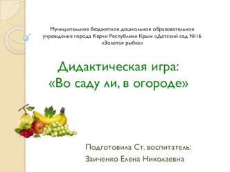 Дидактическая игра: Во саду ли во огороде