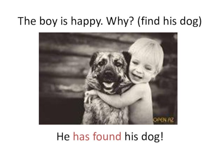 The boy is happy. Why? (find his dog)He has found his dog!