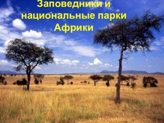 Презентация Заповедники и национальные парки Африки