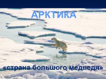Презентация по географии на тему Арктика