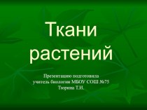 Презентация по биологии на тему Ткани растений (6 класс)