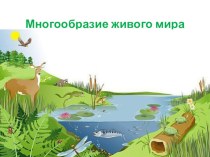 Презентация по теме Многообразие животного мира