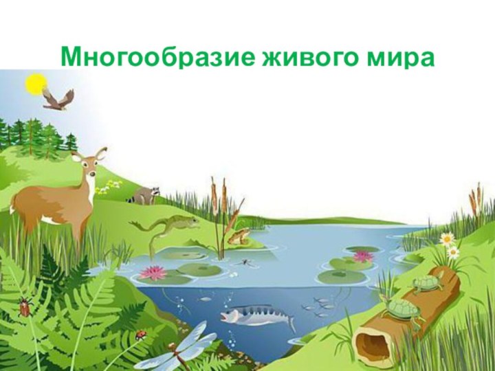 Многообразие живого мира