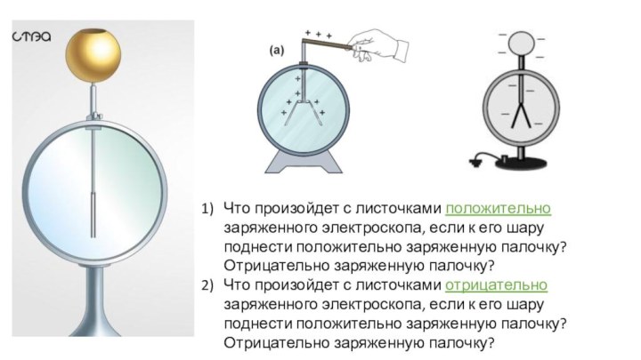 Что произойдет с листочками положительно заряженного электроскопа, если к его шару поднести