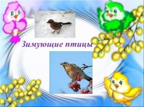 Презентация Зимующие птицы на тему Немного о птицах
