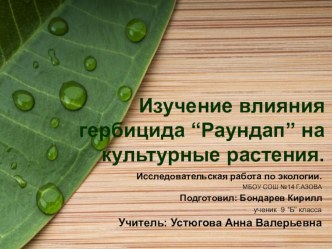 Презентация исследовательской работы по биологии на тему: Влияние гербицида Раундап на культурные растения