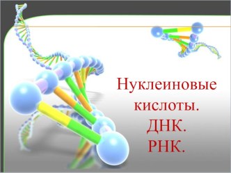 Презентация по биологии по теме Нуклеиновые кислоты