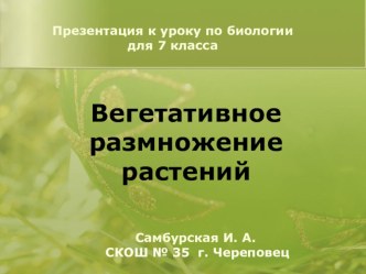 Презентация к уроку по биологии для 7 класса СКОШ VIII вида Вегетативное размножение растений