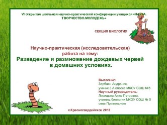 Научно-практическая работа Разведение и размножение дождевых червей в домашних условиях