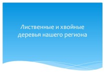 Презентация лиственные и хвойные деревья Тюмени