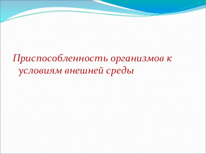 Приспособленность организмов к условиям внешней среды