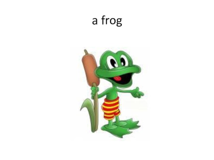 a frog