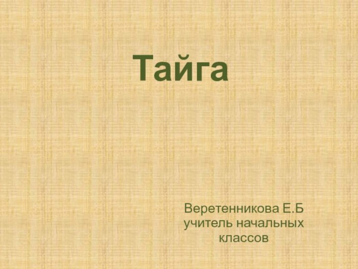 Тайга Веретенникова Е.Б учитель начальных классов