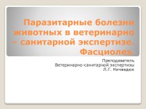 Инвазионные болезни животных, встречающиеся у человека, но не передающиеся ему через продукты убоя. Фасциолез.