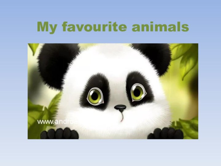 My favourite animals