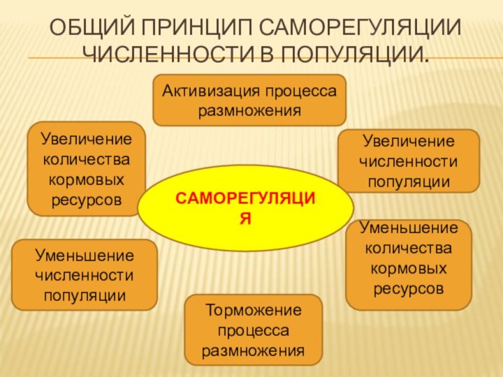 общий принцип саморегуляции численности в популяции. Активизация процесса размноженияУвеличение численности популяцииУменьшение количества