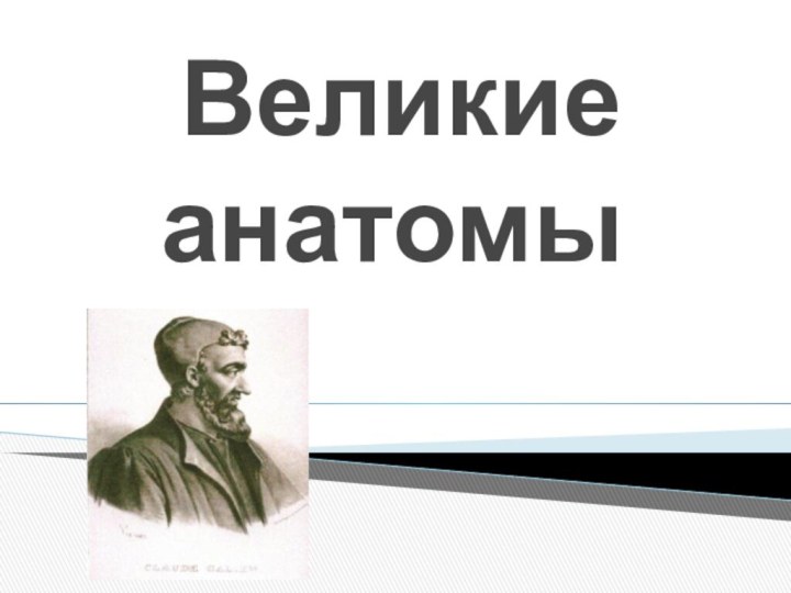 Великие анатомы