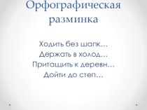 Презентация по русскому языку на тему Правописание безударных имен существительных 1,2,3. склонения  (3 класс)