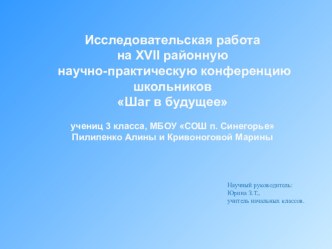 Презентация к научно-практической конференции Образ Бабы-Яги в русских народных сказках (3 класс)