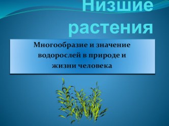 Презентация по биологии на тему Многообразие и значение водорослей (6 класс, ФГОС)