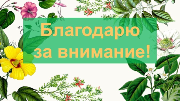 Благодарю  за внимание!