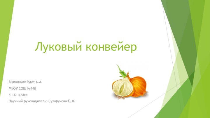 Луковый конвейерВыполнил: Удот А.А.МБОУ СОШ №1404 «А» классНаучный руководитель: Сухорукова Е. В.