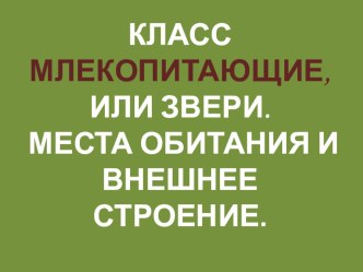 Презентация по биологии Млекопитающие