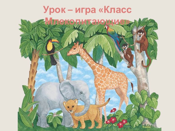 Урок – игра «Класс Млекопитающие»