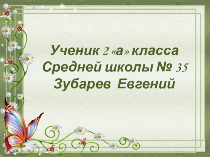 Ученик 2 «а» классаСредней школы № 35Зубарев Евгений