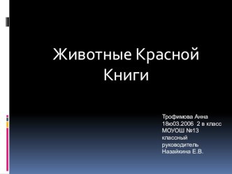 Презентация к уроку окружающего мира Животные Красной книги